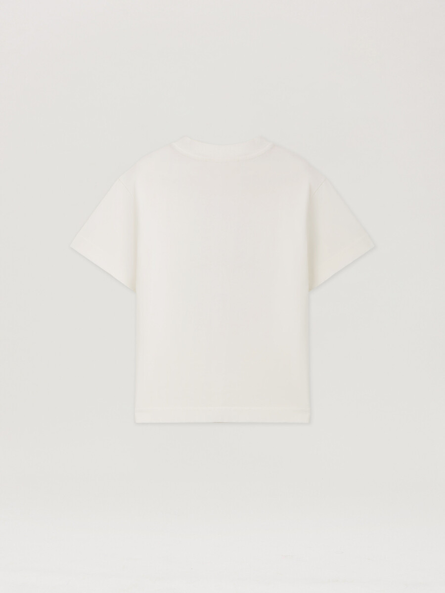 t-shirt spray bear
