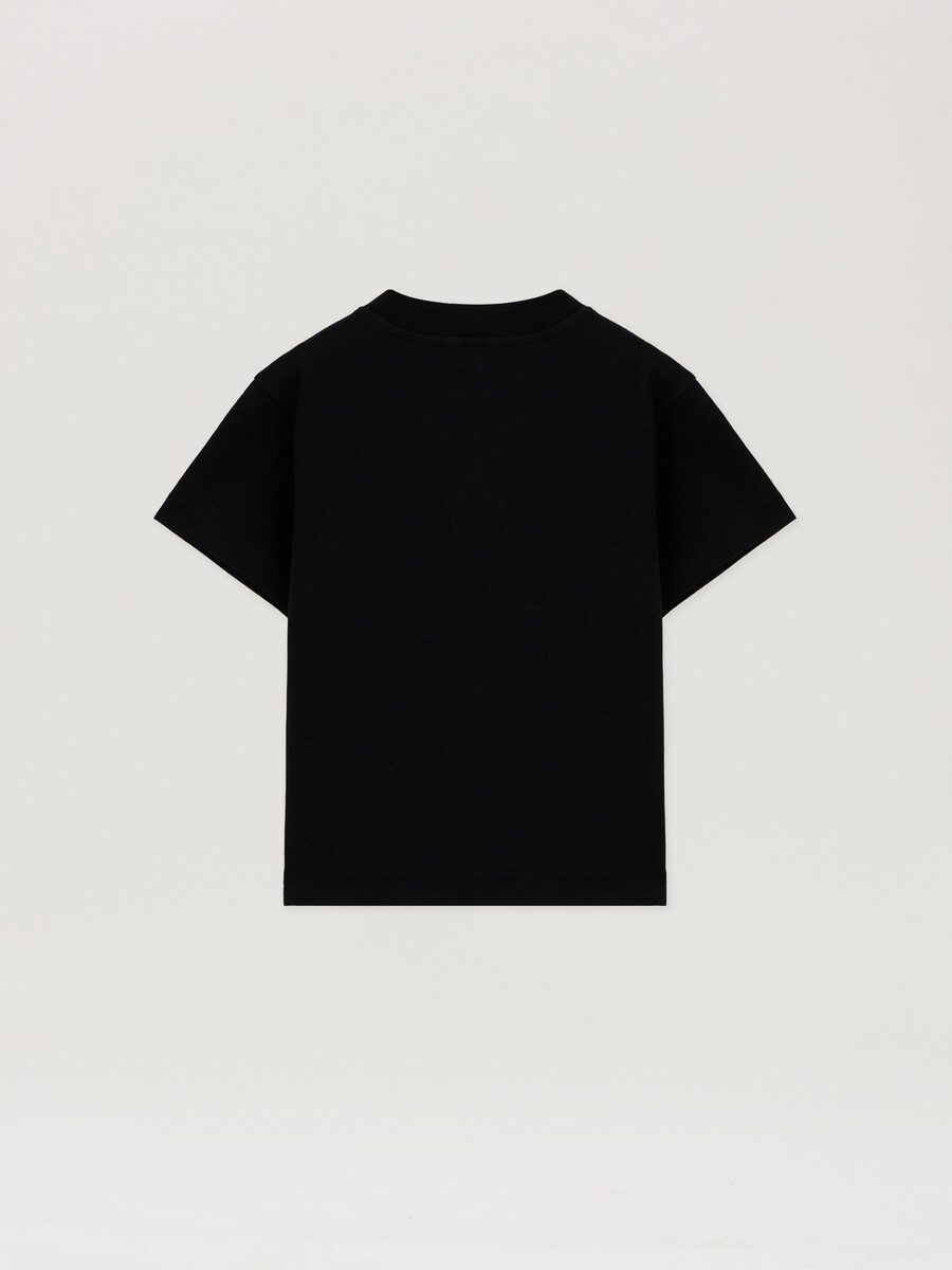 t-shirt spray bear