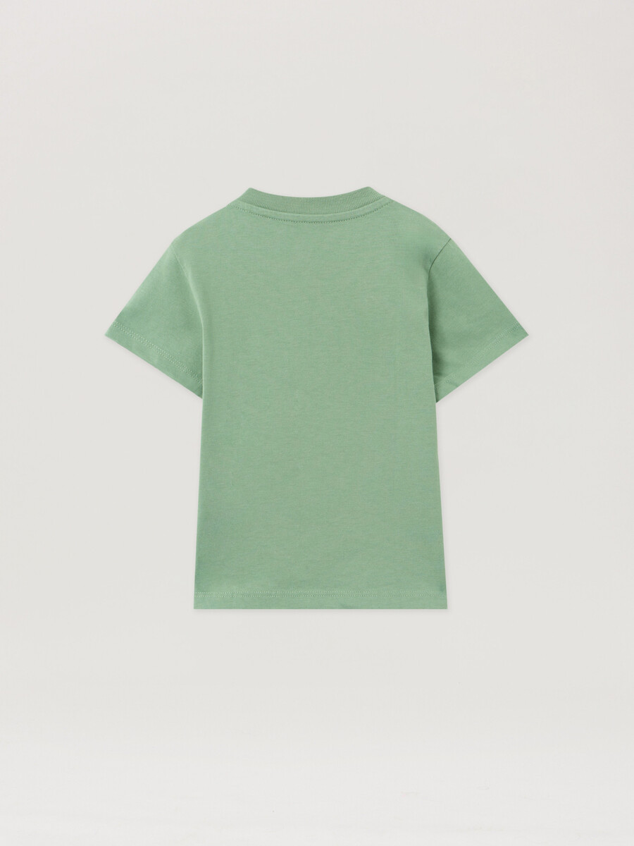 t-shirt bear tripack
